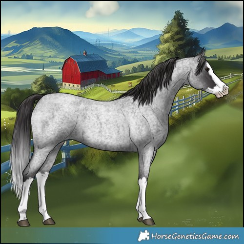 Horse Color:Smoky Blue Roan Splash 