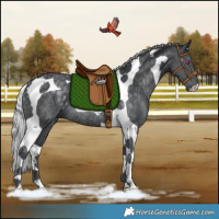 Horse Color:Silver Black Chinchilla Tobiano Rabicano 