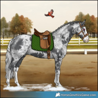 Horse Color:White Spotted Silver Black Chinchilla Ice 