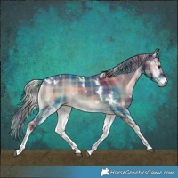 Horse Color:Plaid  White Spotted Liver Red Onyx Tobiano
