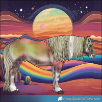 Horse Color:Plaid  White Spotted Chocolate Palomino Onyx Tobiano Rabicano 