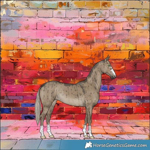 Horse Color:Silver Smoky Grullo Brindle 