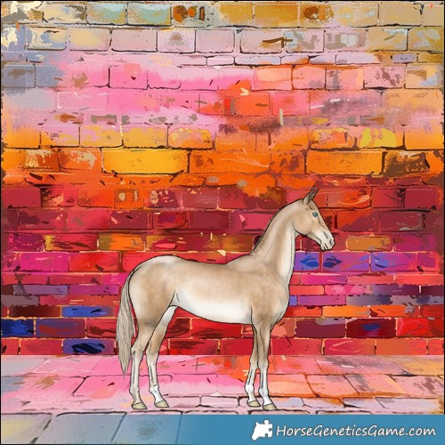 Horse Color:Chocolate Palomino Pearl Rabicano 