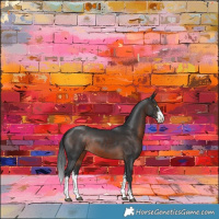 Horse Color:Brown Sabino