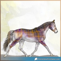 Horse Color:Plaid  Liver Red Onyx Tobiano 