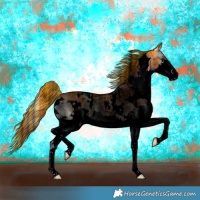 Horse Color:Void Painted Plaid  White Spotted Liver Red Onyx Splash