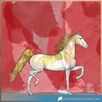 Horse Color:Painted Plaid  White Spotted Chocolate Palomino Onyx Splash Tobiano 