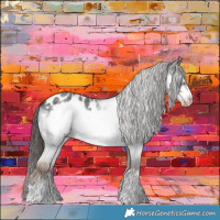 Horse Color:Liver Red Roan Frame Near Leopard 