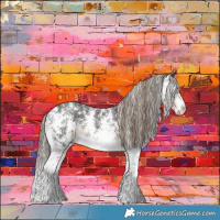 Horse Color:Liver Chestnut Sabino