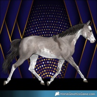 Horse Color:Platinum White Spotted Liver Red Dun