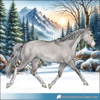 Horse Color:Platinum White Spotted Liver Red Dun Mushroom Rabicano