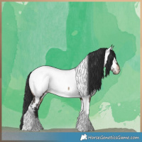 Horse Color:Brown Dun Tobiano Near Fewspot 