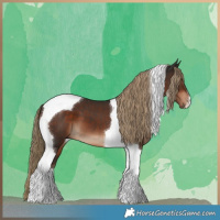Horse Color:Liver Chestnut Tobiano 