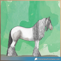 Horse Color:Grullo Roan Tobiano Brindle 