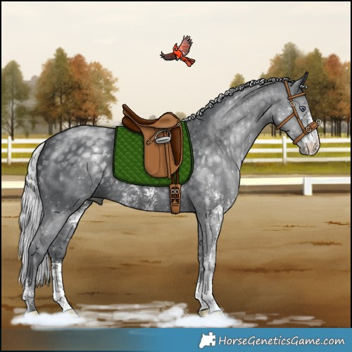 Horse Color:Silver Black Chinchilla Sabino 