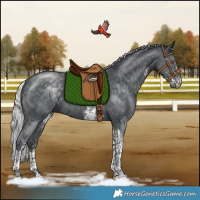 Horse Color:Silver Black Chinchilla Sabino Tobiano Rabicano