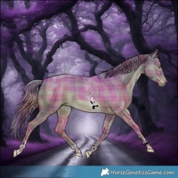 Horse Color:Watercolor Plaid  Liver Red Dun Sabino Tobiano Brindle 
