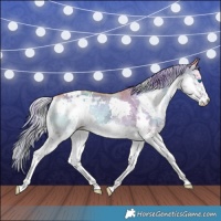 Horse Color:Watercolor White Spotted Chocolate Palomino Ice Onyx Splash Rabicano 