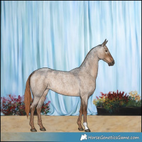 Horse Color:Gray Liver Red Dun Roan Rabicano 