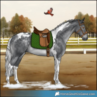 Horse Color:Silver Black Chinchilla Tobiano Rabicano 