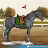 Horse Color:Silver Black Chinchilla Tobiano 