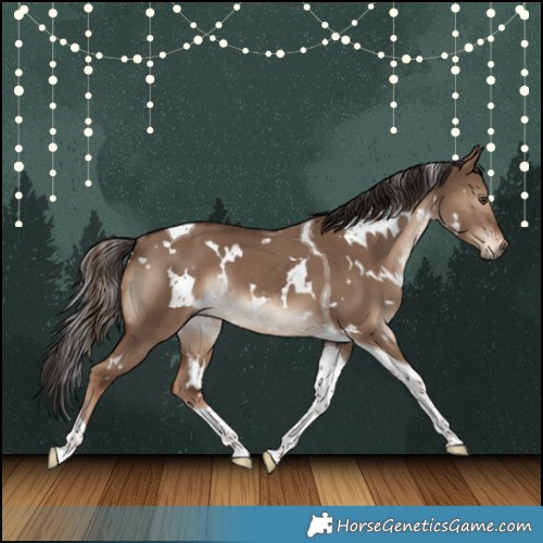Horse Color:White Spotted Liver Red Dun Tobiano Rabicano
