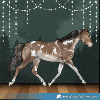Horse Color:White Spotted Liver Red Dun Tobiano Rabicano 
