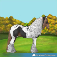 Horse Color:Liver Chestnut Tobiano 