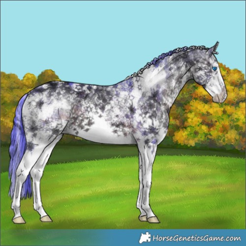 Horse Color:Watercolor White Spotted Brown Ice Sabino Splash 