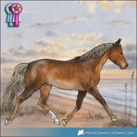 Horse Color:Chocolate Palomino