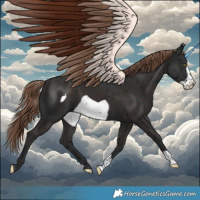 Horse Color:Liver Chestnut Frame 