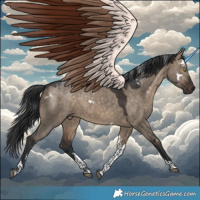 Horse Color:White Spotted Brown Dun Tobiano 