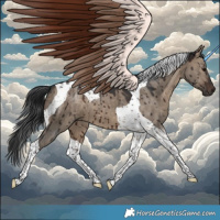 Horse Color:Brown Dun Tobiano Brindle 