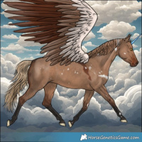 Horse Color:White Spotted Liver Red Dun