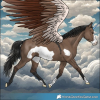 Horse Color:Liver Red Dun Frame