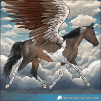 Horse Color:Brown Dun Tobiano 