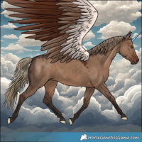 Horse Color:Liver Red Dun