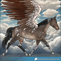 Horse Color:White Spotted Brown Dun Tobiano