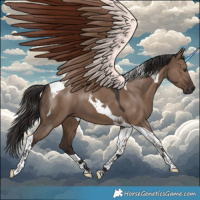 Horse Color:Liver Red Dun Tobiano