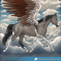 Horse Color:Grullo Tobiano Rabicano