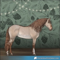 Horse Color:Liver Red Dun Tobiano 