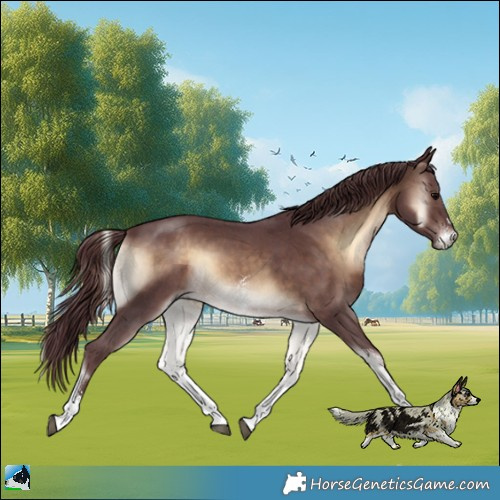 Horse Color:Chocolate Brown Onyx Sabino 