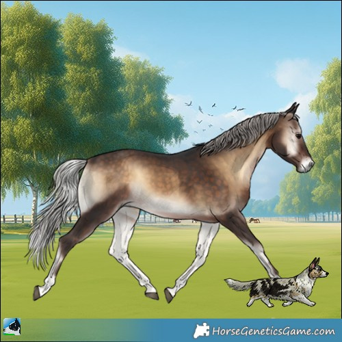 Horse Color:Silver Brown Onyx