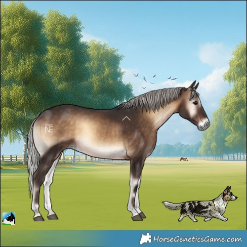 Horse Color:Silver Brown Onyx