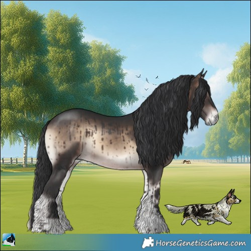 Horse Color:Brown Onyx Mushroom Sabino Rabicano
