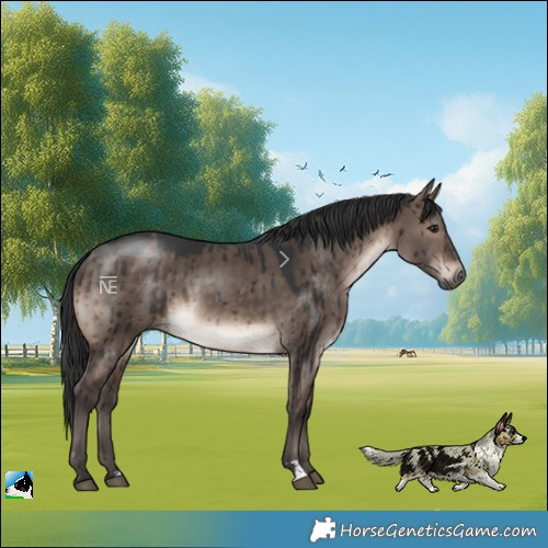 Horse Color:Brown Dun Mushroom Brindle 