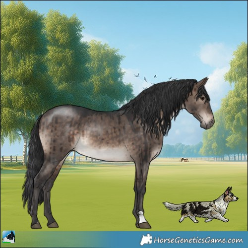 Horse Color:Brown Dun Mushroom Brindle