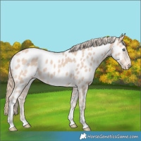 Horse Color:Perlino Tobiano Near Leopard