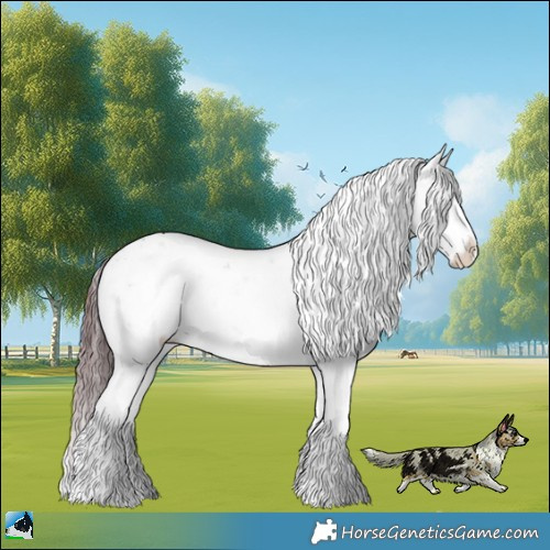 Horse Color:Chocolate Brown Chinchilla Ice Onyx Sabino Rabicano