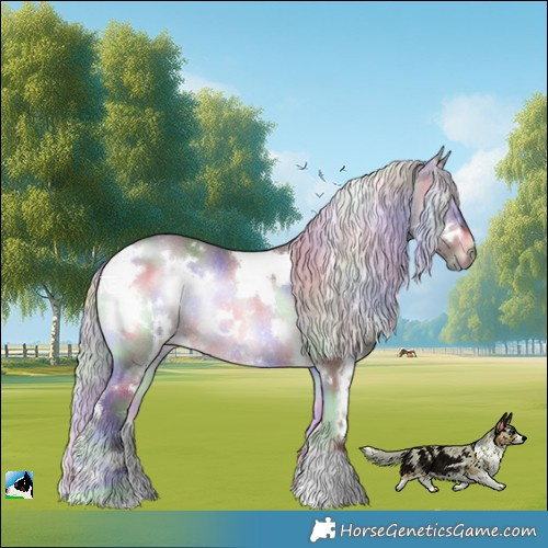 Horse Color:Nacre White Spotted Chocolate Silver Brown Chinchilla Onyx Rabicano 